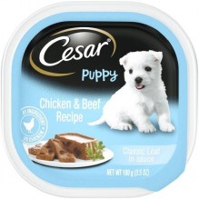 CESAR C/C PUPPY W/CHICKEN 3.5OZ