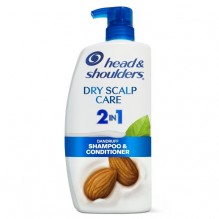 HEAD & SHDR 28.2OZ 2IN1 DRY SCL