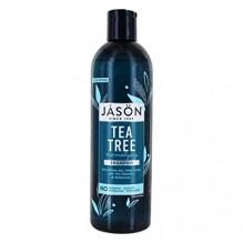 JASON 17.5OZ SHMP TEA TREE OILQ